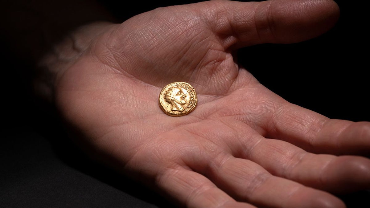 Coin being shown by a person