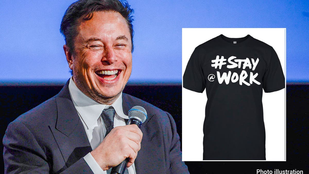 A split photo of Musk and a t-shirt