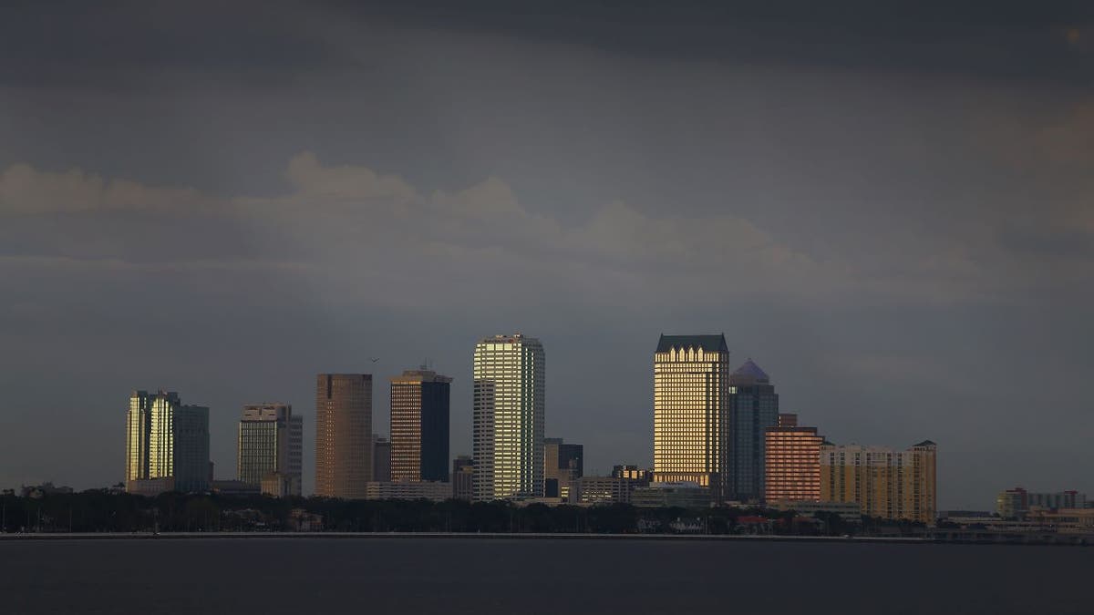 Tampa downtown skyline