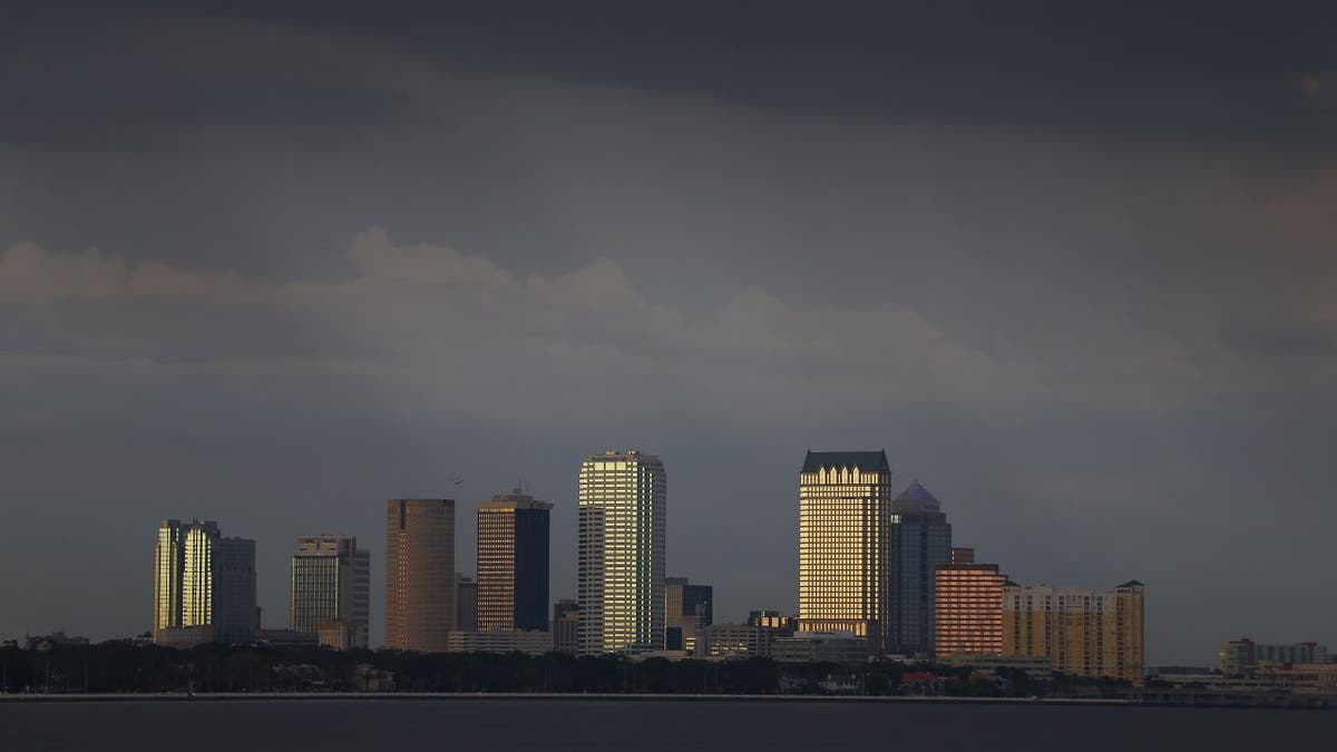 Tampa skyline