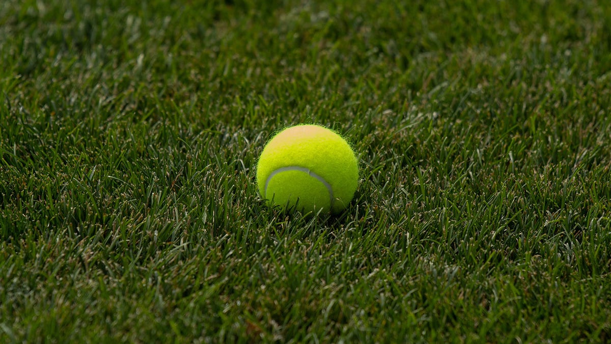 General view of a tennis ball