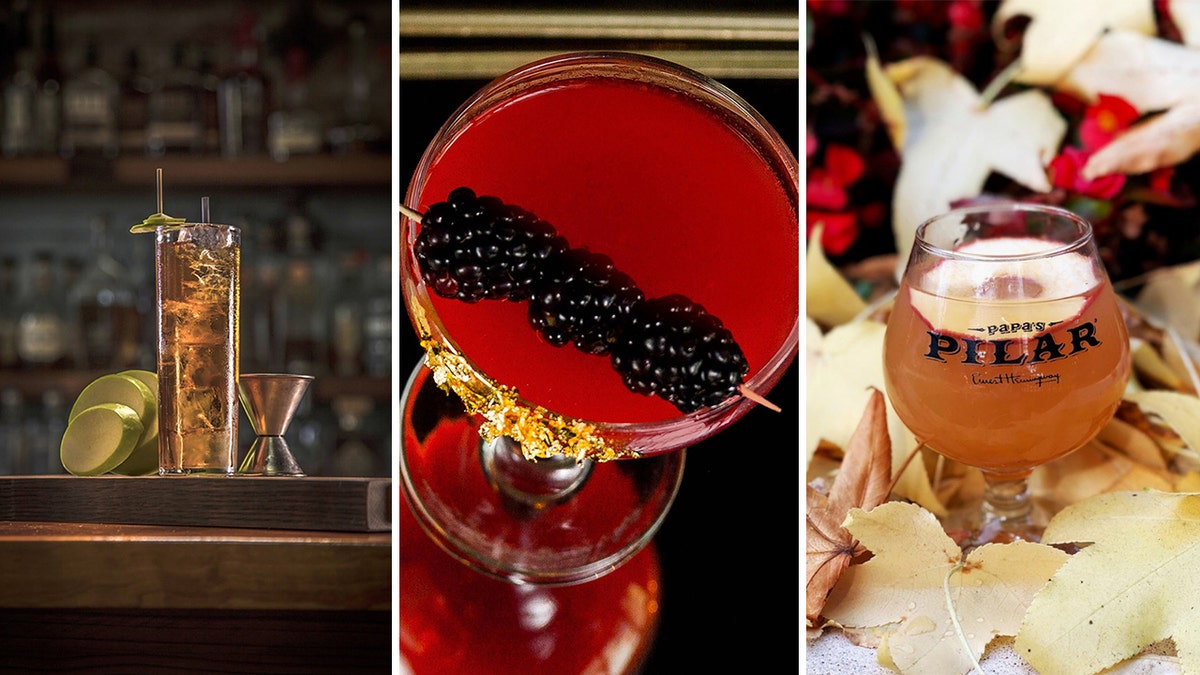 Thanksgiving 2023 cocktail recipes