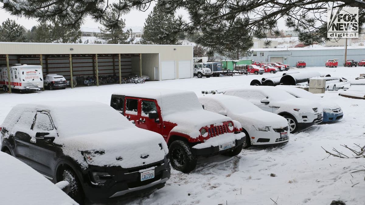 Towed cars in Moscow, Idaho murders