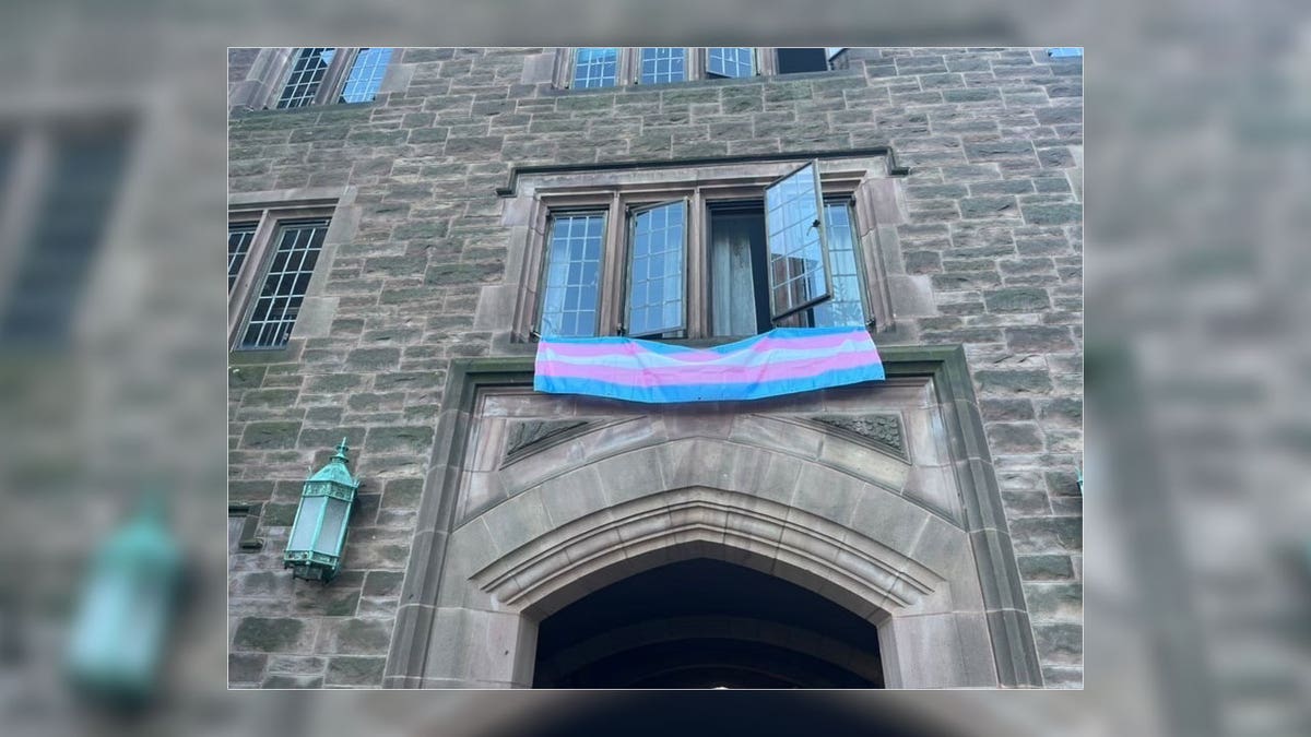Transgender flag hanging from a window