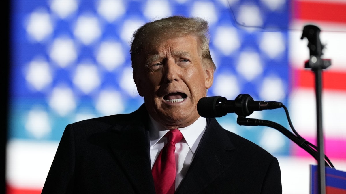 Donald Trump speaking in to microphone, US flag in background