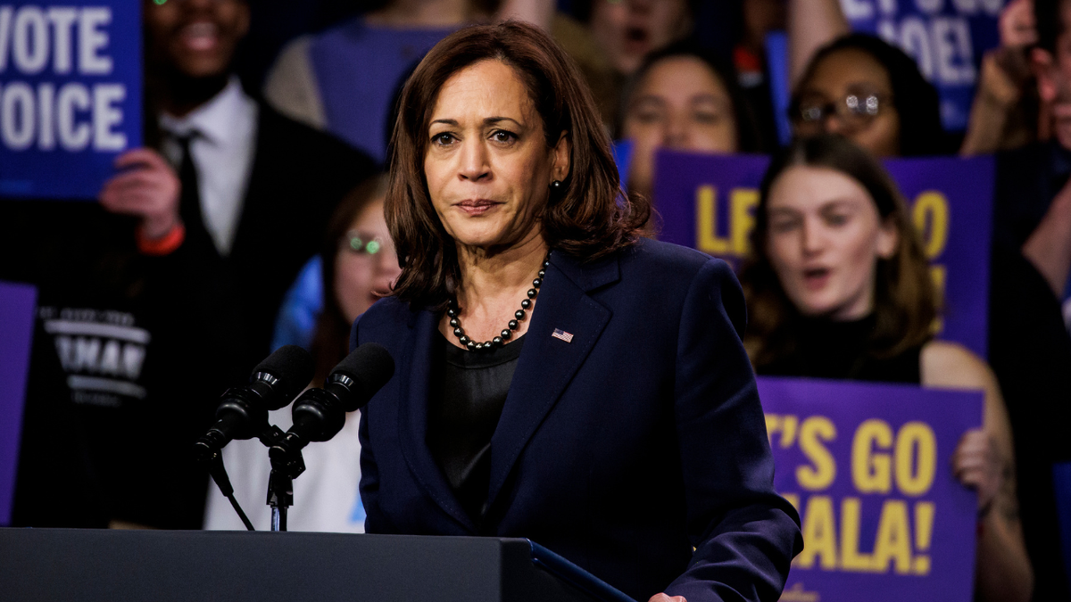 Kamala Harris Says 'democracy Is Intact' After Democrats Warned ...