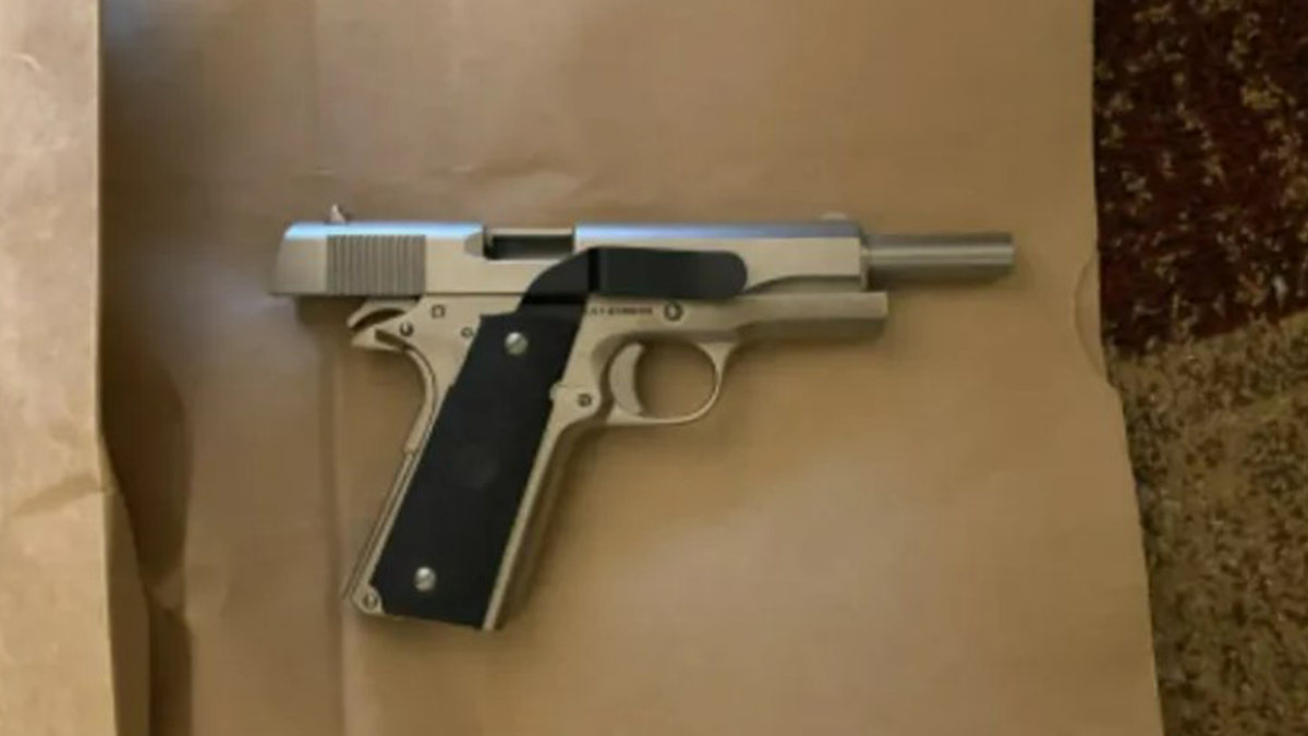 Gun used by suspect who shot dog in Virginia