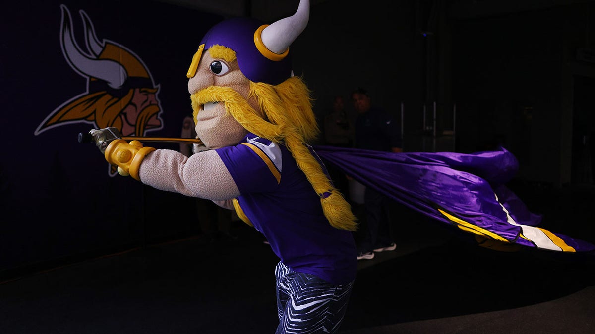 Vikings mascot