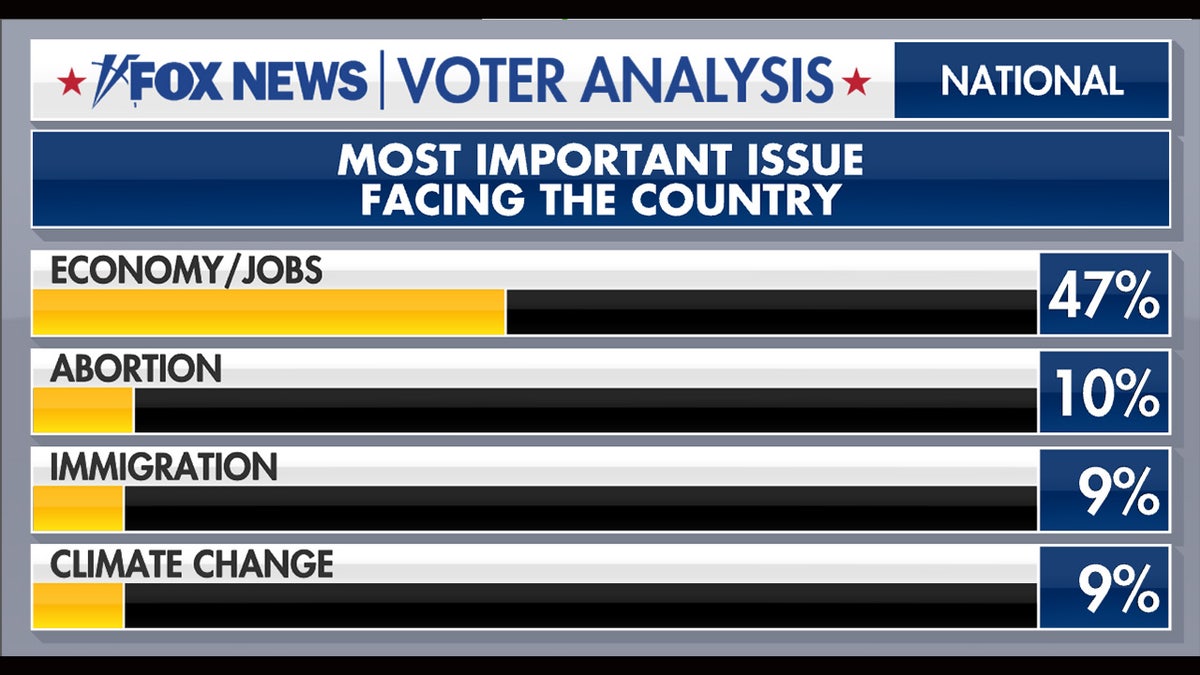 Graphic of issues voters care about