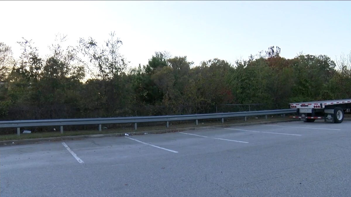 The woods behind Walmart in Warner Robins, Georgia