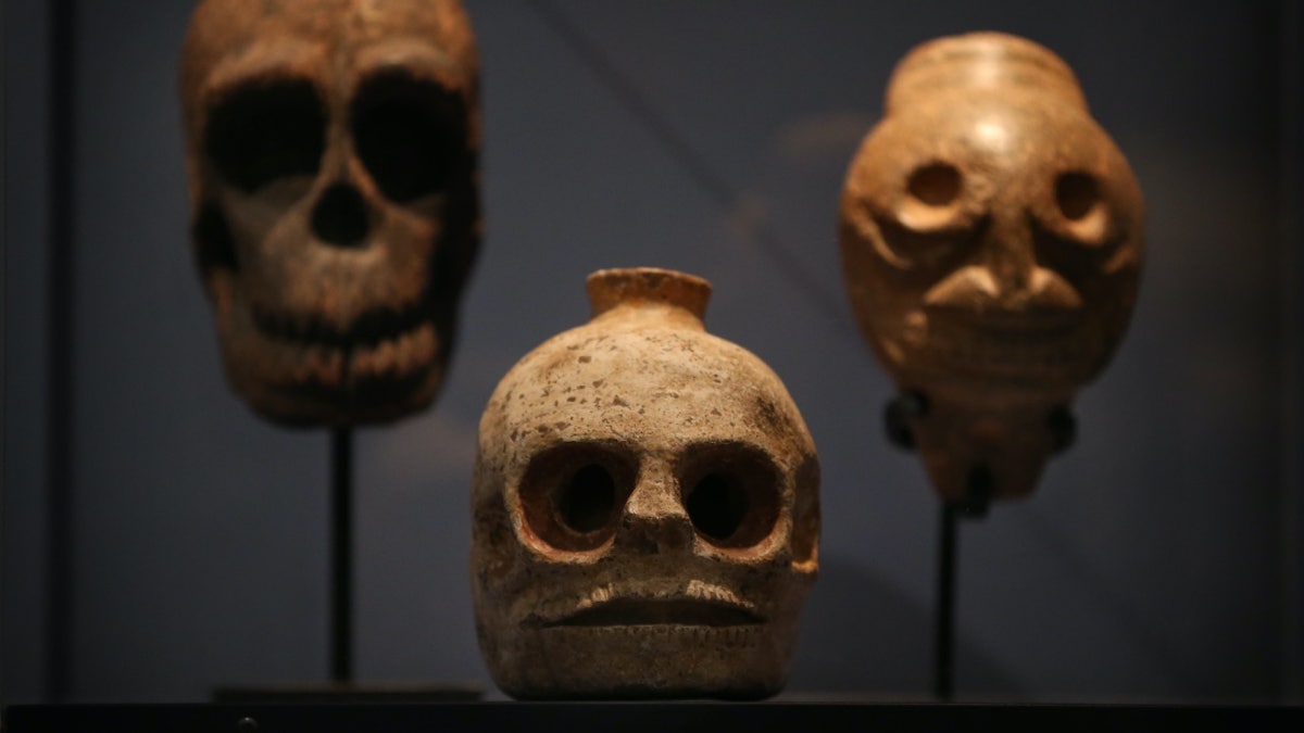 Wellcome Collection skulls