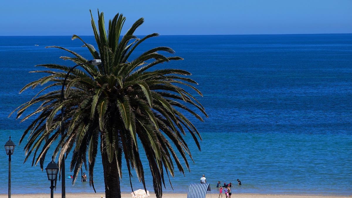 View of Seacliff Beach in Adelaide