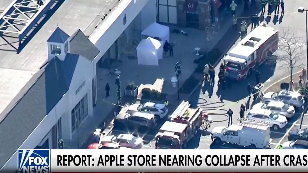 Apple store crash