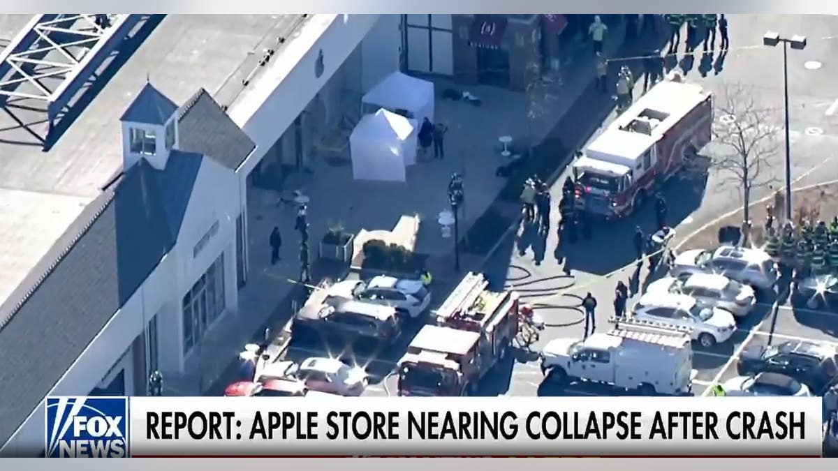 Apple store crash