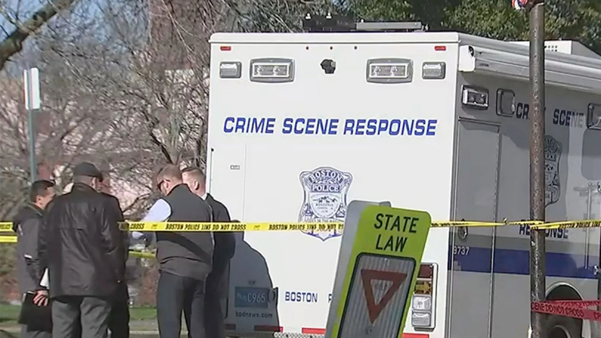 Boston investigators at scene where remains of infants were found