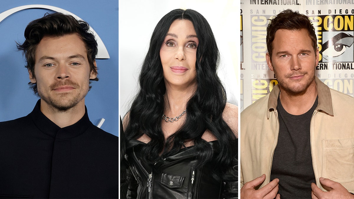 Chris Pratt Cher Harry Styles and more stars endorse political