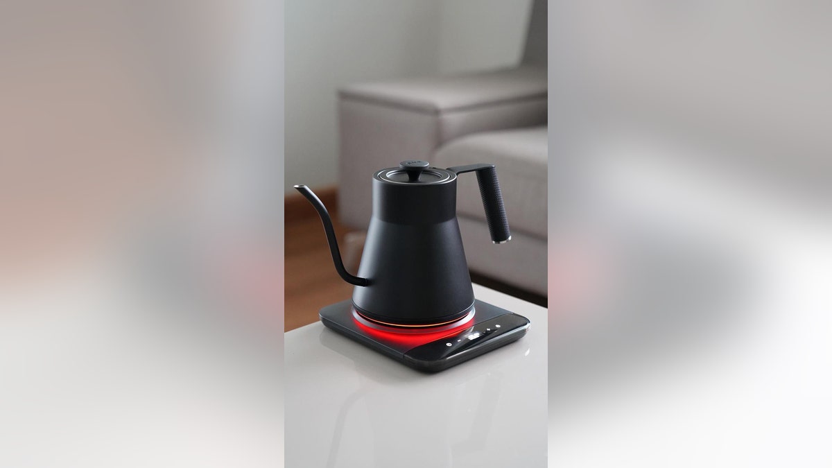 Saki electric kettle