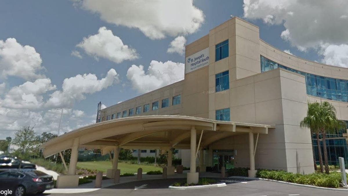 St. Joseph's Hospital - South in Florida