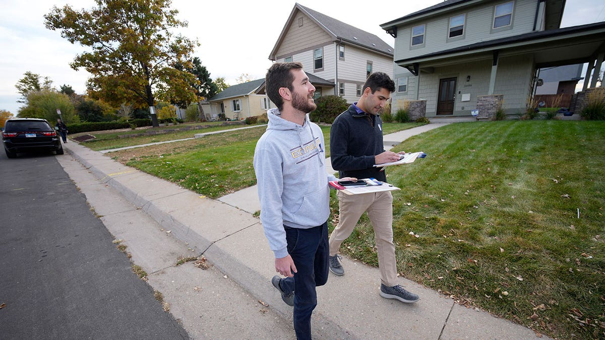 Vote canvassers in CO