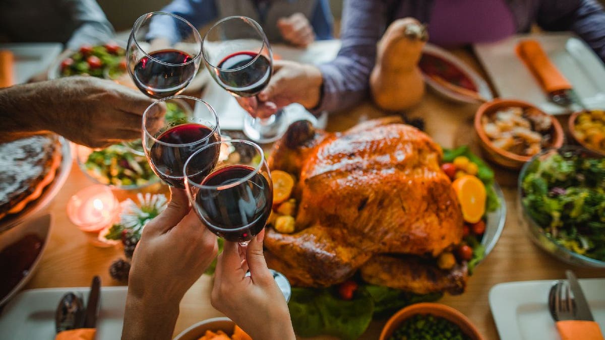 Group of people toast wine at Thanksgiving dinner