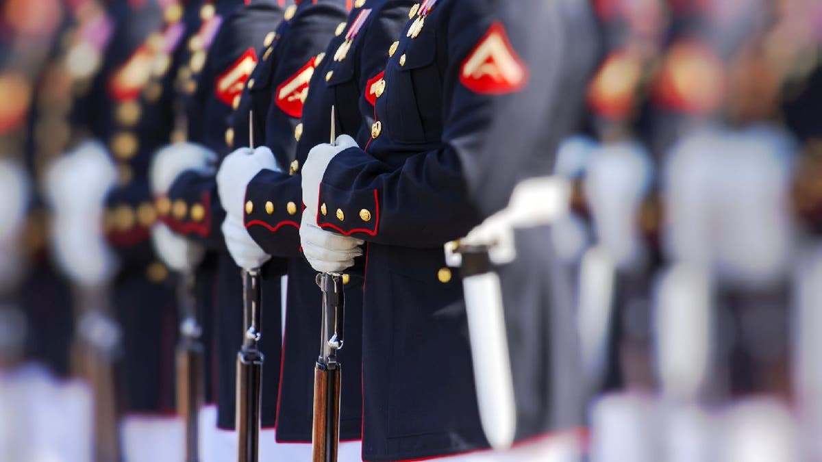 Marines lined up