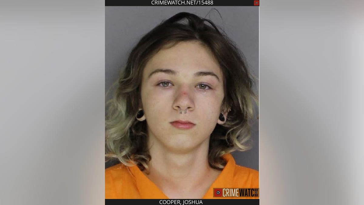 Joshua Cooper Mugshot