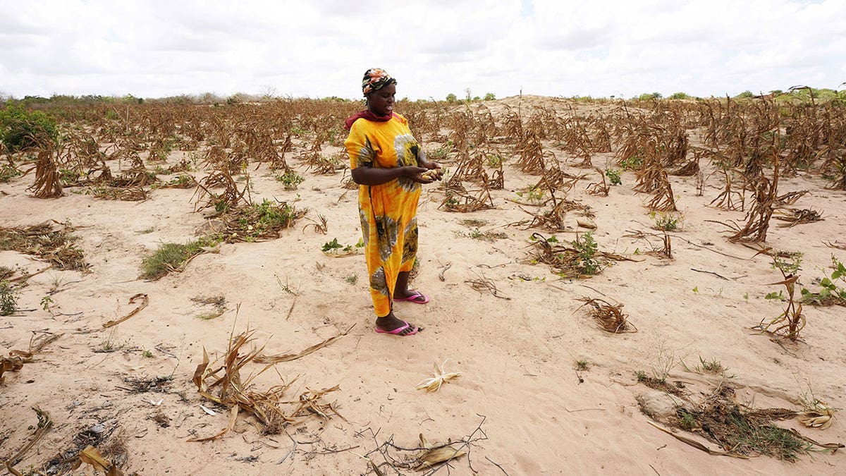 Kenya food shortage, drought