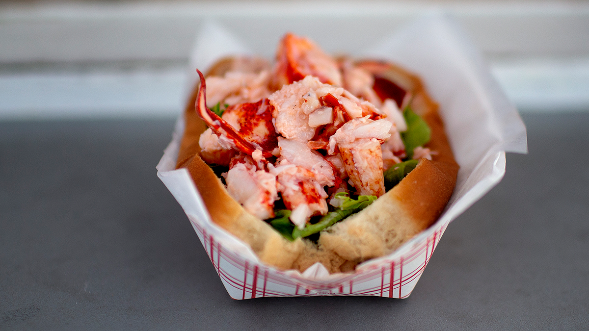 Maine lobster roll