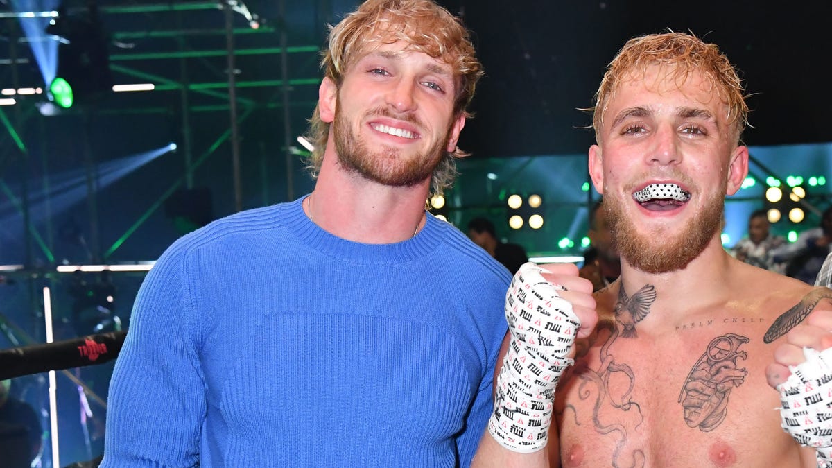 Jake And Logan Paul Are 'little Disney Stars,' 'not Real Fighters,' UFC ...