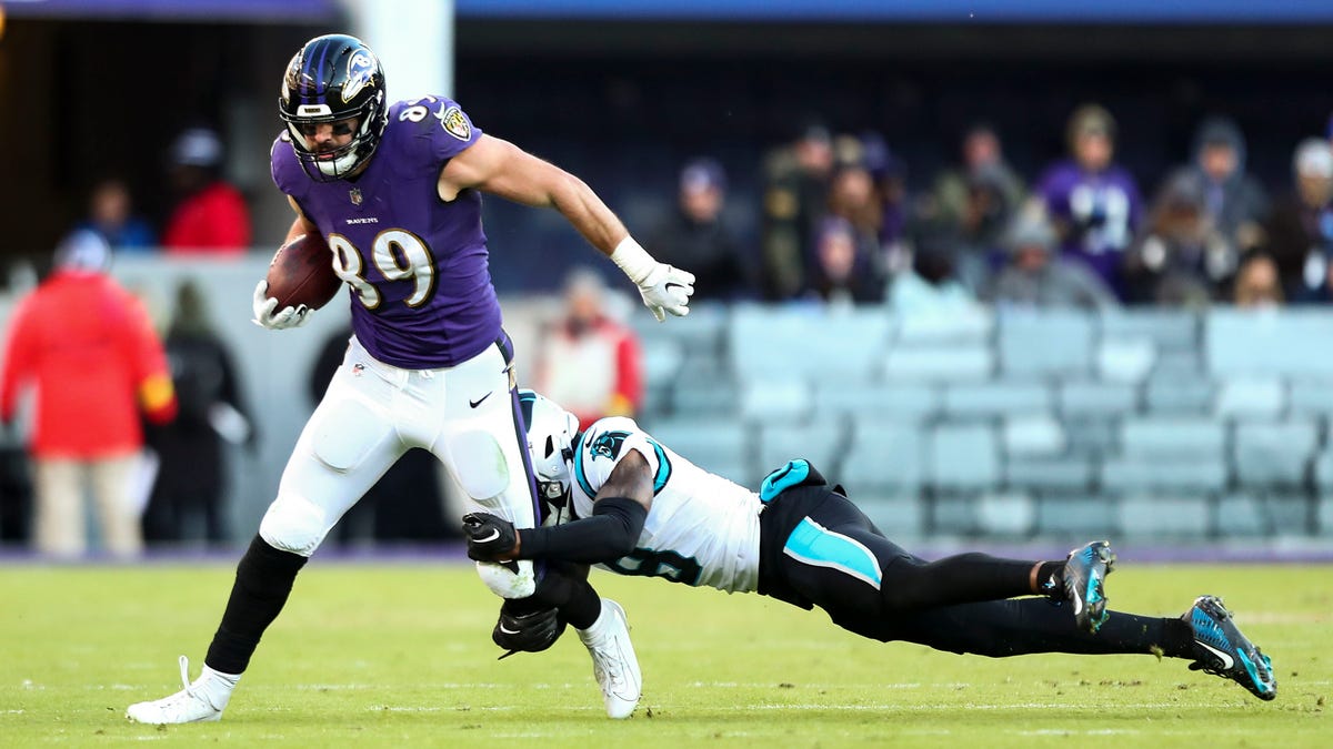 Baltimore, United States. 20th Nov, 2022. Baltimore Ravens wide receiver  Demarcus Robinson (10) signals a first down over the Carolina Panthers  during the first half at M&T Bank Stadium in Baltimore, Maryland