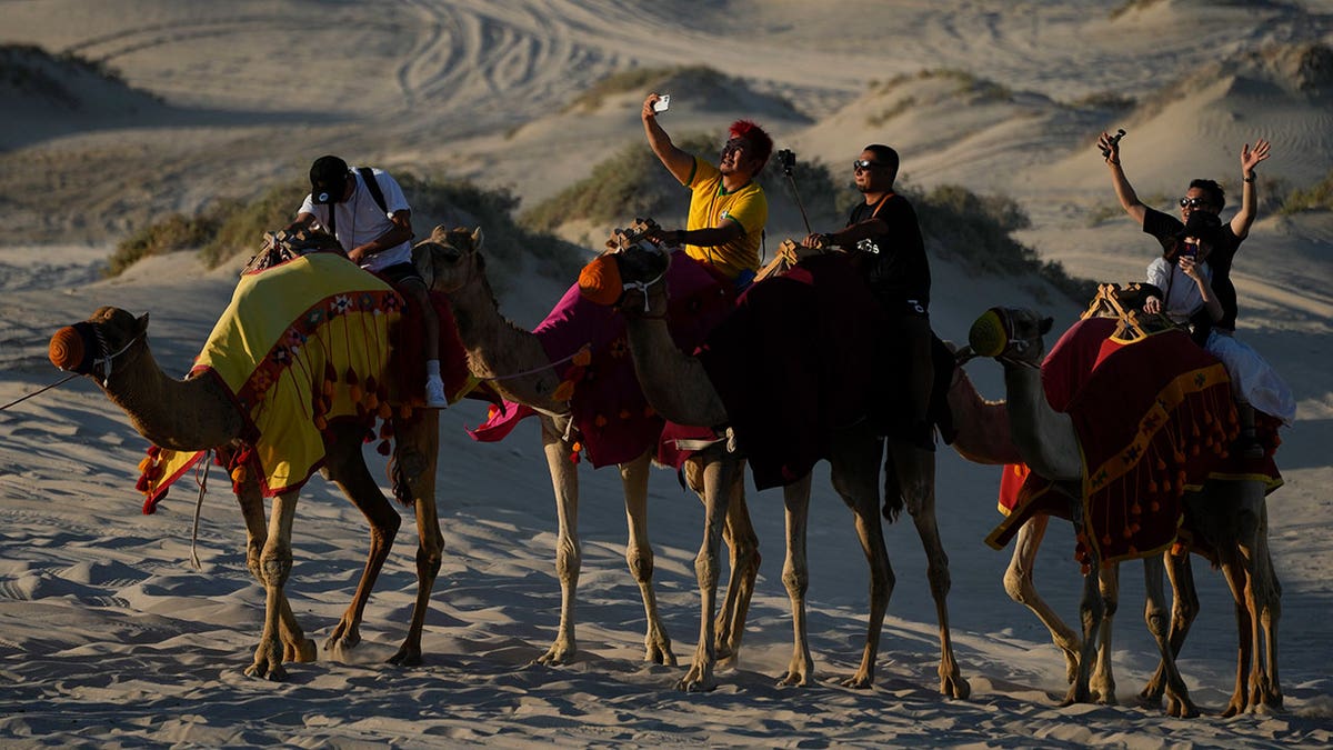 Tourists take selfies while riding camels around sand dunes in Qatar