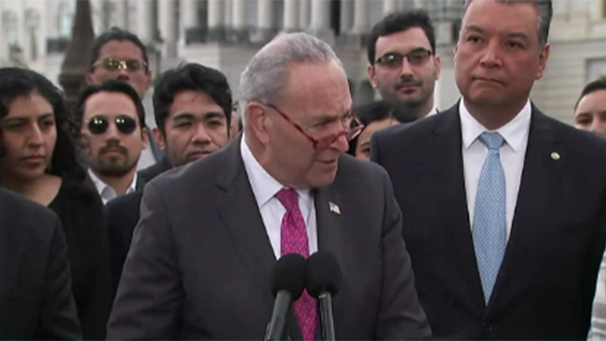 Schumer speaking to the press