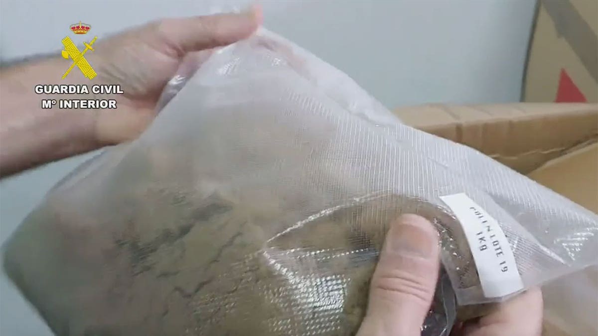 Spanish police officer holds a bag of packaged marijuana during drug bust