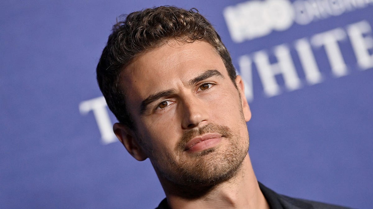 Theo James at a premiere
