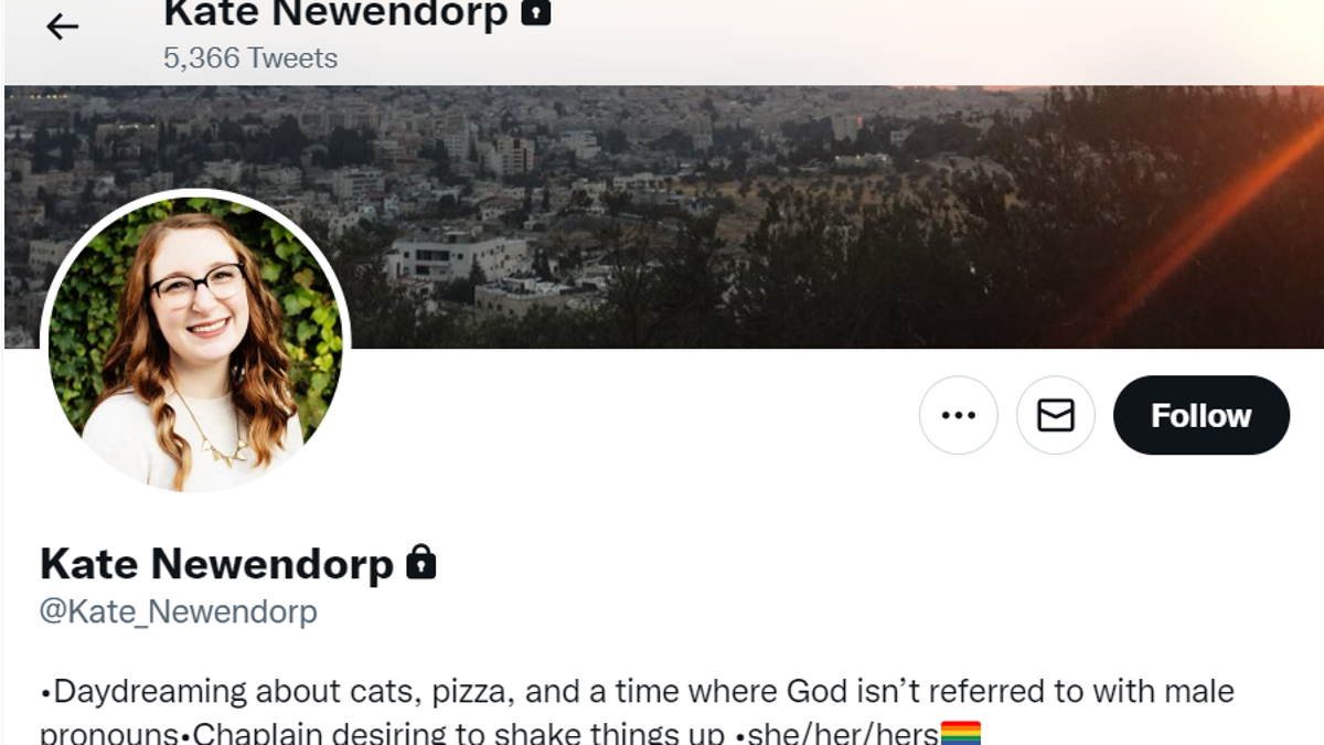 Wisconsin hospital chaplain twitter bio with transgender beliefs