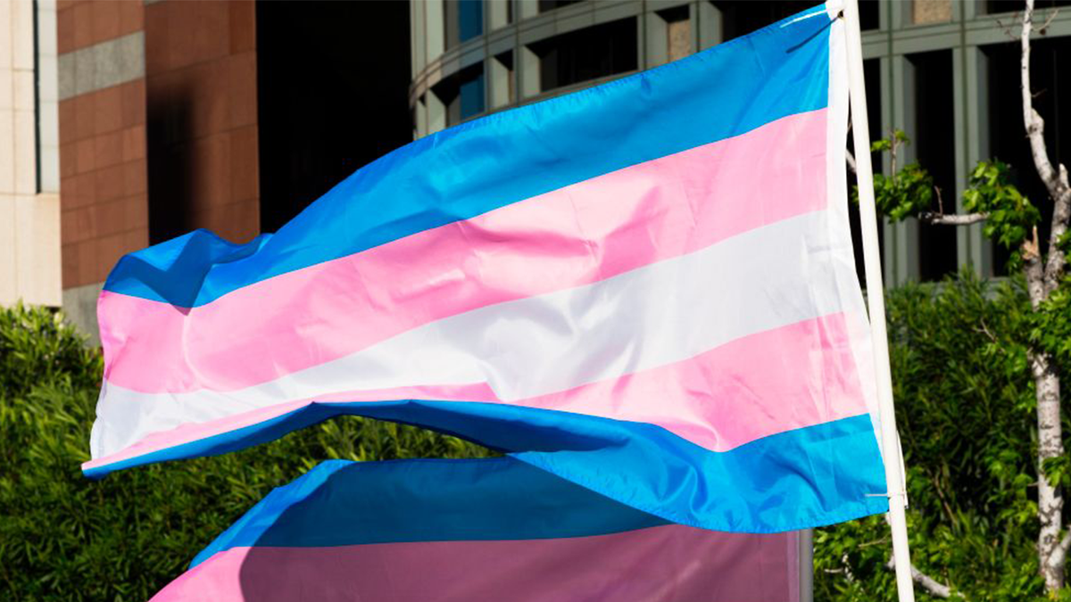 Transgender flags flying