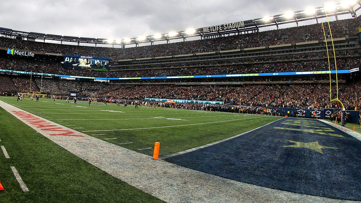 MetLife turf