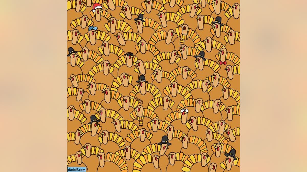 Thanksgiving brain teaser: Can you find a pumpkin among the turkeys?
