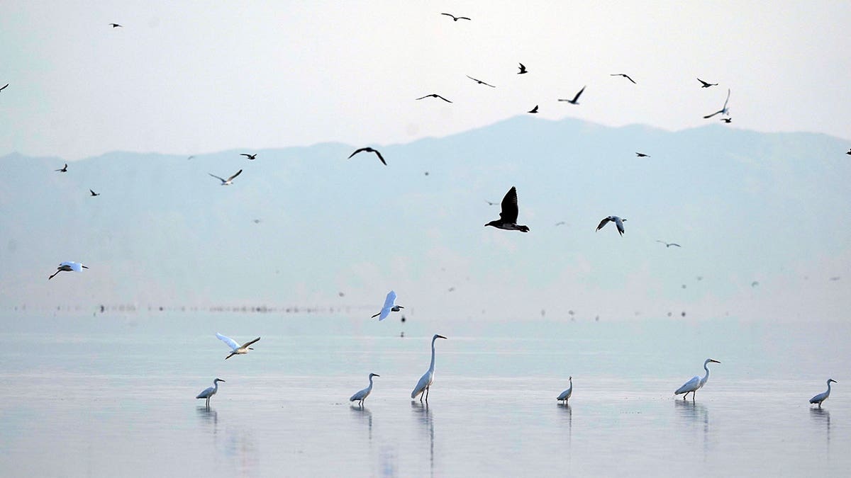 Salton Sea, CA