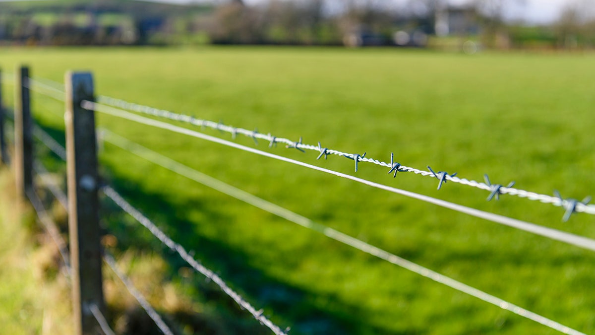 Barbed wire online 1874