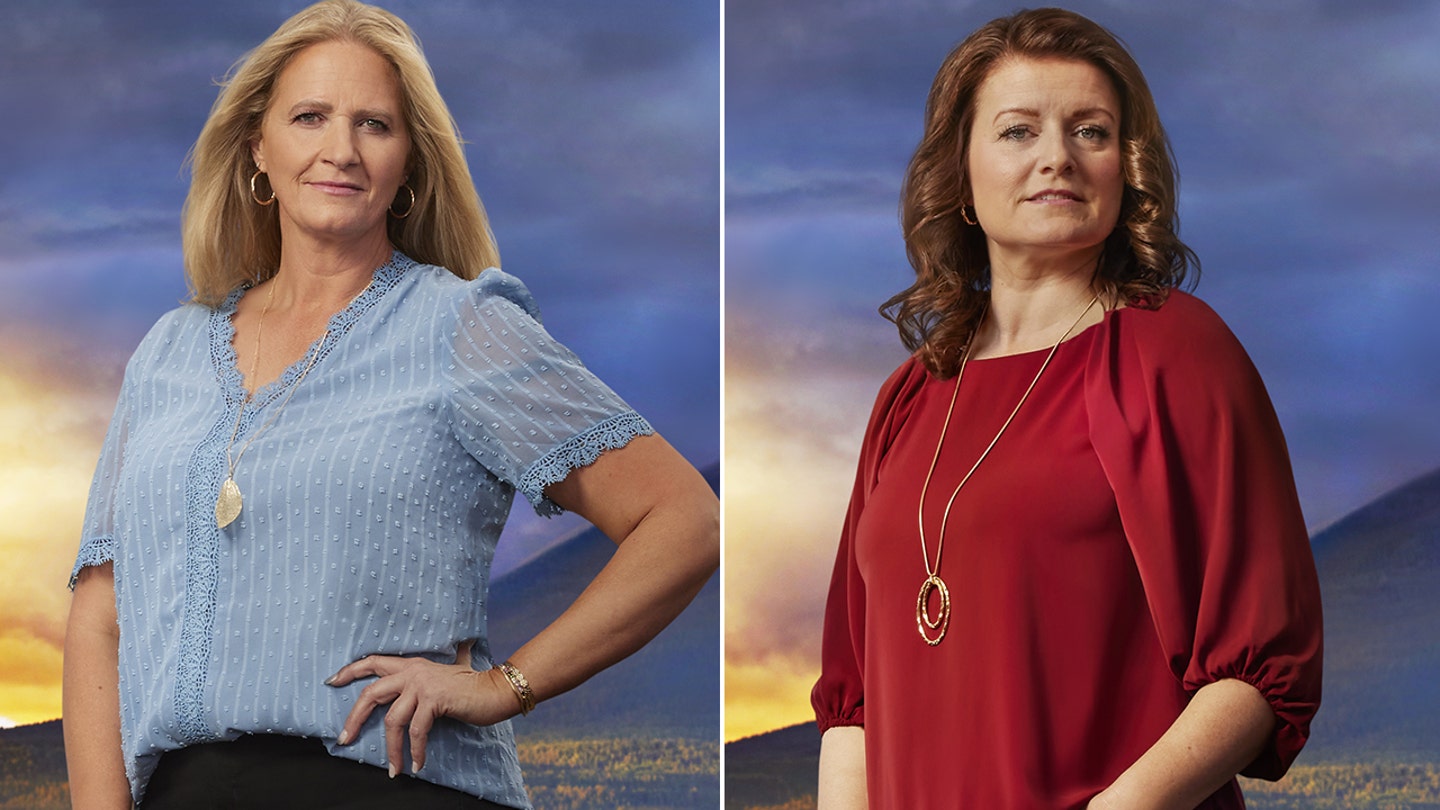 The Crumbling Polygamist Family: 'Sister Wives' Stars Reveal the Motivation Behind Their Reality TV Drama