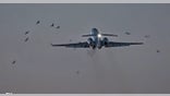 Military plane hit flock of birds in Chicago