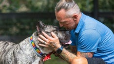 Winner of Hero Dog 2022: American Humane crowns pup who went from 'trash to treasure'