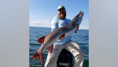 Minnesota man's record-breaking fish certified months after catch and release: 'Still out there'