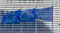 Environmental groups issue joint appeal for EU to remove carbon removal methods from climate plans