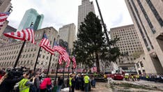 Iconic Rockefeller Center Christmas tree arrives in NYC: 'It's a special tree'