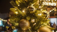 REAL OR FAKE: Texans ‘cheer’ on their favorite Christmas trees