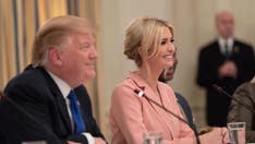 New York Appeals Court narrows NYAG case, dismisses Ivanka Trump as a defendant, cuts statute of limitations