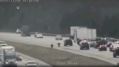 Ohio drivers stop to scoop up cash spilled on the road