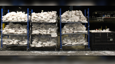 Customs and Border Patrol officers seize $18.6M in meth at Texas entry point: 'Exceptional drug bust'